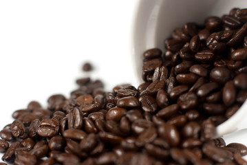 Coffee Beans on White Background