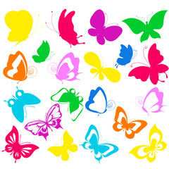 beautiful color butterflies,set, isolated  on a white