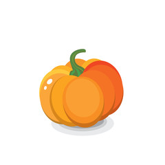 Beautiful pumpkin. Vector illustration for a postcard or a poster. Autumn holiday. Realistic vector concept.