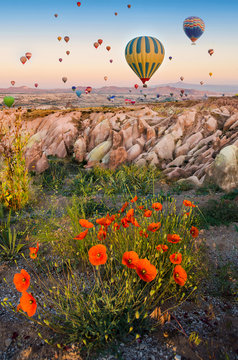 Hot air balloon flying over rock landscape with poppies in Cappadocia Turkey
