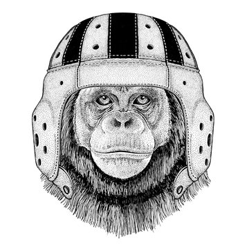 Chimpanzee Monkey Wild animal wearing rugby helmet Sport illustration