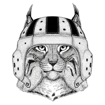 Wild cat Lynx Bobcat Trot Wild animal wearing rugby helmet Sport illustration