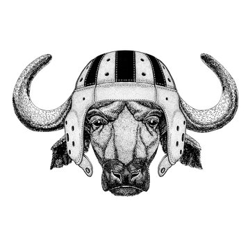 Buffalo, bull, ox Wild animal wearing rugby helmet Sport illustration