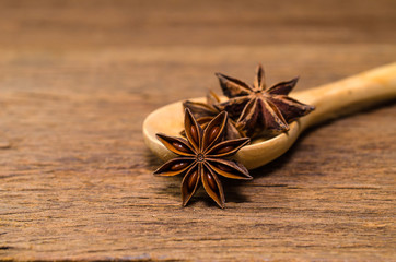 Star anise and cinnamon stick