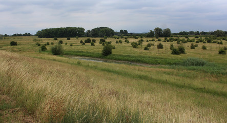 Fototapeta na wymiar Gelderlandse polder