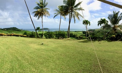 Beautiful day in Sainte-Marie on the Caribbean island of Martinique: green grass lawn, coconut palm...