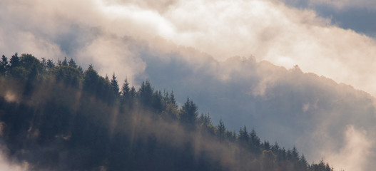 Bergnebel