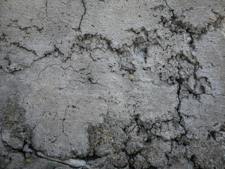 Cracks on cement