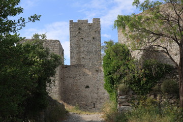 PIERRES & FLEURS sur la PORTE des CEVENNES