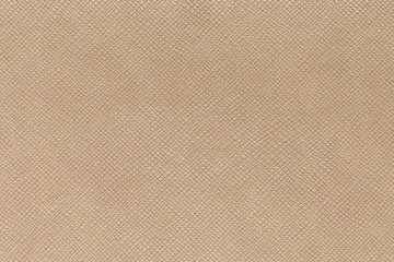 Texture of brown lether like an Elephant skin