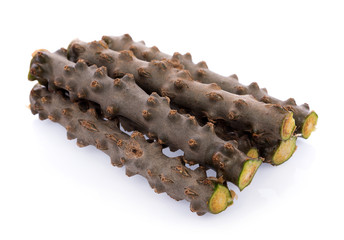 Tinospora Cordifolia isolated on white background