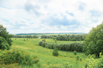 Fototapeta na wymiar Beautiful summer landscape. The countryside in Russia.