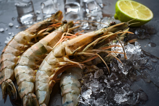 Fresh King Prawns On Ice