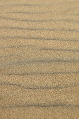 Fototapeta na wymiar Texture of sand in macro