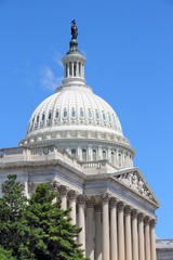 Obraz premium US National Capitol