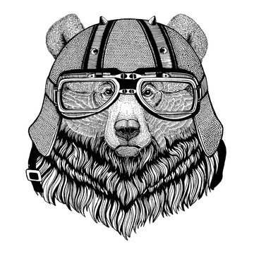 Grizzly bear Big wild bear wearing biker helmet Animal with motorcycle leather helmet Vintage helmet for bikers Aviator helmet
