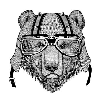 Brown bear Russian bear wearing biker helmet Animal with motorcycle leather helmet Vintage helmet for bikers Aviator helmet