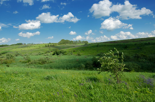 Sunny summer scene.Green hills of Tula region in Russia. 
