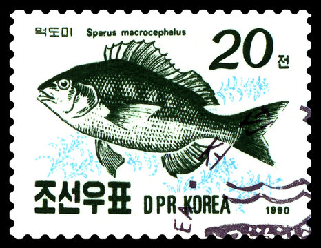 Vintage  postage stamp. Blackhead seabream.