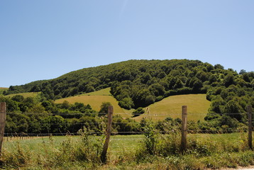 Pamplona