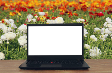Image of outdoors with open laptop and empty white screen for copy space