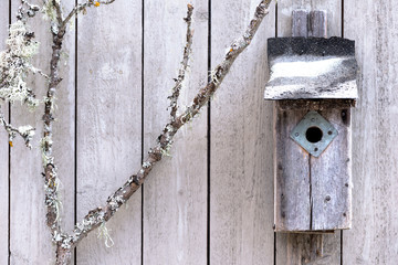 Old bird nesting box.