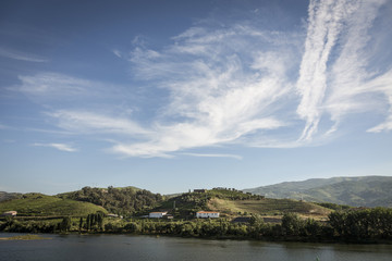 Naklejka na ściany i meble Vineyards in the Douro river region, in the town of Mesão Frio, portugal