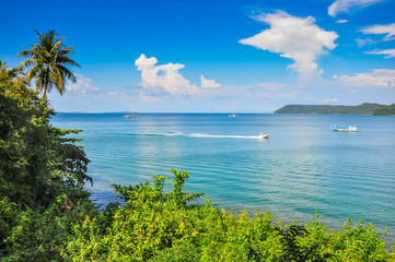 Tropical environment with beautiful sea