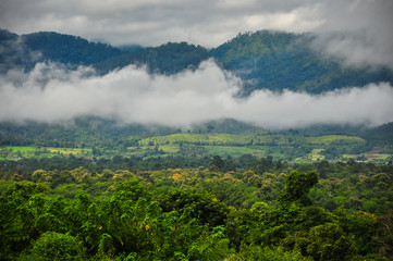 Fototapeta na wymiar Pai landscape and cloud after raining