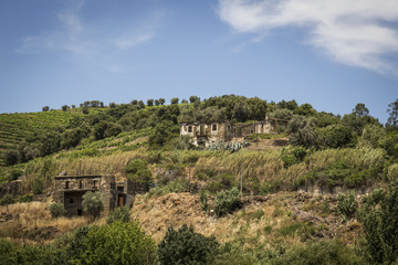 Fototapeta na wymiar Vineyards in the Douro river region, in the town of Mesão Frio, portugal