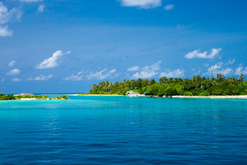 Fototapeta premium tropical beach in Maldives