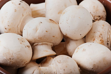 Mushrooms champignons on an old wooden background.