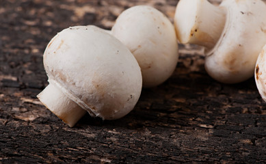 Mushrooms champignons on an old wooden background.