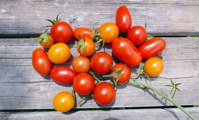 Fototapeta na wymiar Fresh Tomatoes 