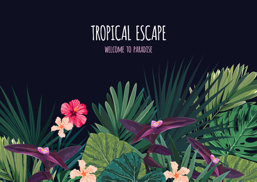 Floral horizontal postcard design with hibiscus flowers, monstera and royal palm leaves. Exotic hawaiian vector background.