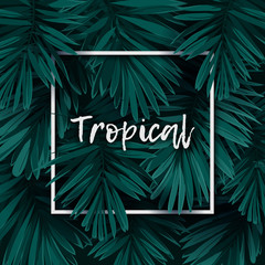 Obraz premium Dark green minimalistic vector design with exotic royal palm leaves.