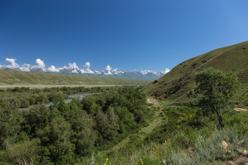 Fototapeta na wymiar Mountain river landscape. Kyrgyzstan. Kekemeren River