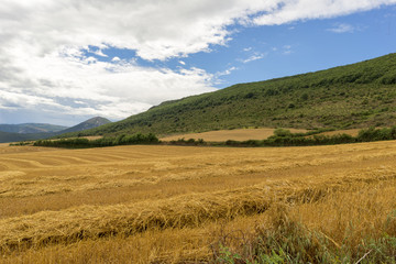 Fototapeta premium Straw field in the province of navarra, spain