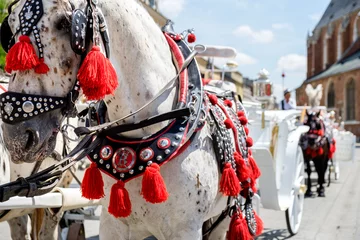 Photo sur Plexiglas Cracovie Traditional horses and carriage in Rynek Główny, Krakow's main square