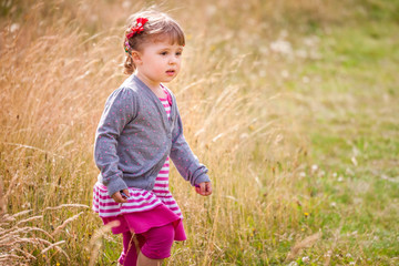 Walking through the high grass