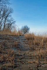 Winter an der Nordsee