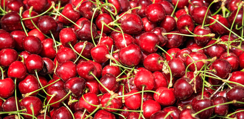 Obraz na płótnie Canvas Fresh ripe cherries background