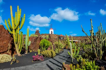 Papier Peint photo les îles Canaries Jardin de cactus à Lanzarote, îles Canaries, Espagne