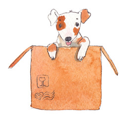 Cute cartoon dog sitting in big cardboard packing box painted in watercolor on clean white background © tina bits