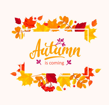 Autumn is coming banner with autumn leaves frame.