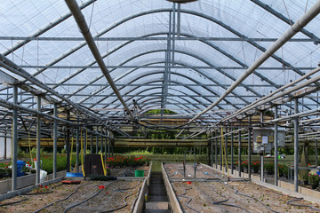 Großes Gewächshaus mit Blumenbeeten