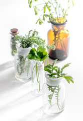 Homeopathy. Medicinal herbs in glass on white background