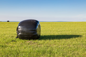 Hay Bales with Protective Plastic Covering