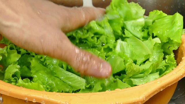 Washing green lettuce in yellow bowl, close up, slow motion Full HD