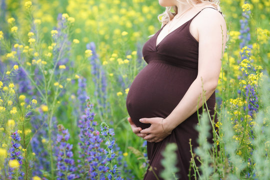 Waiting for baby, mammy's belly. The future mother holds her belly in her hands. Field with flowers